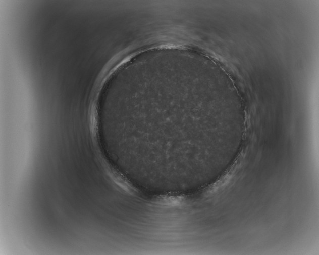 X0000113080247200908281229