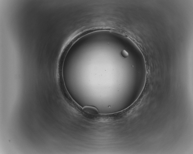 X0000113080248200908281229