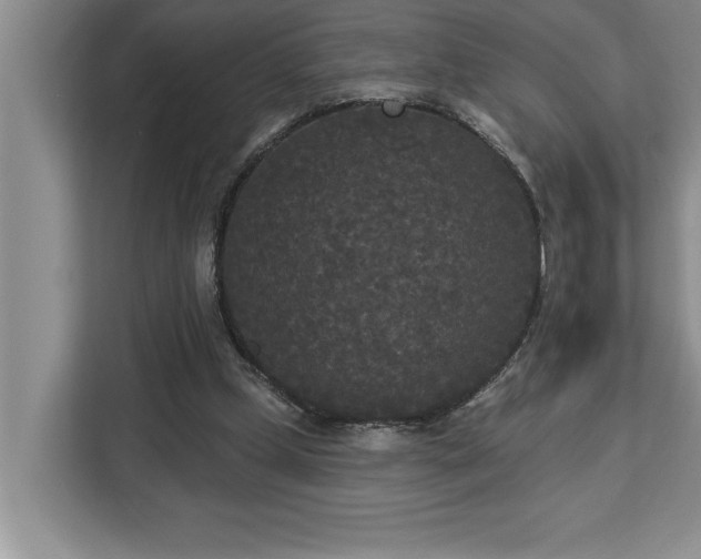 X0000113080249200908281229