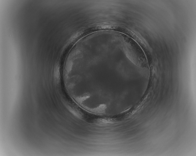 X0000113080250200908281229