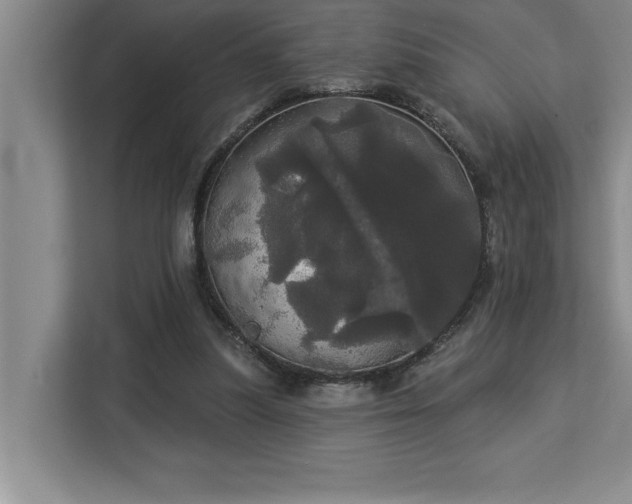 X0000113080251200908281229