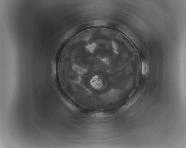 X0000113080253200908281229