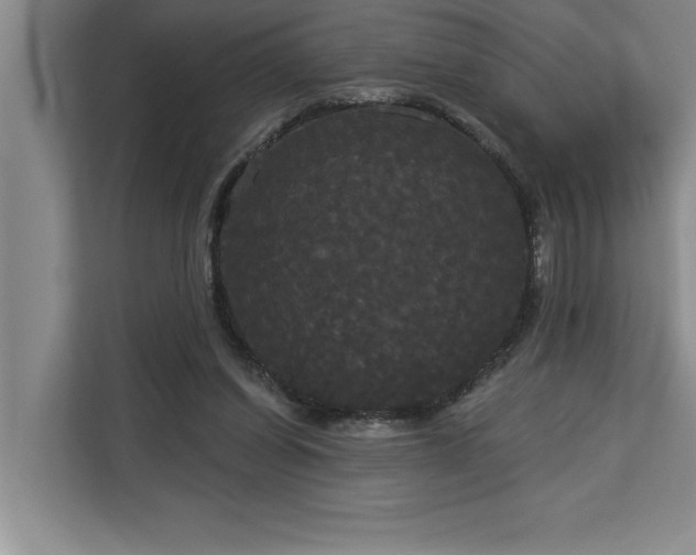 X0000113080254200908281229