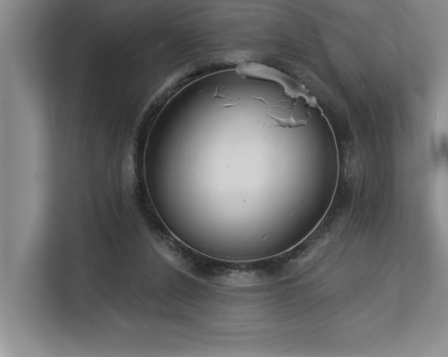 X0000113080256200908281229