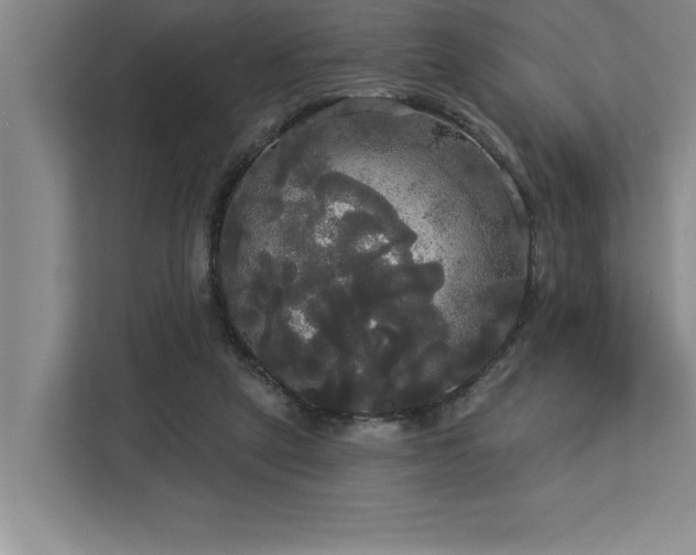 X0000113080257200908281229