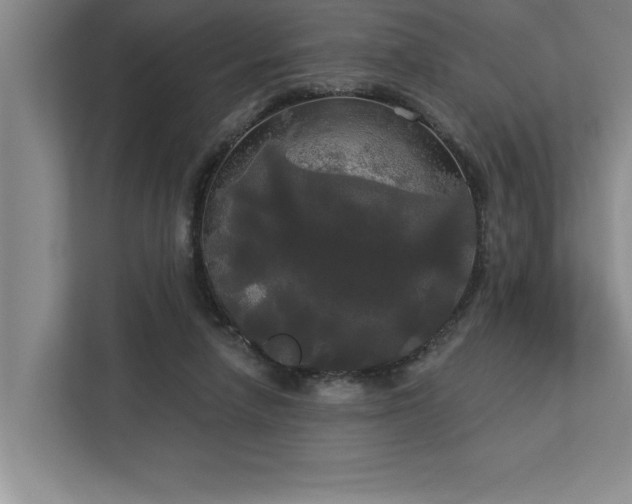 X0000113080258200908281229