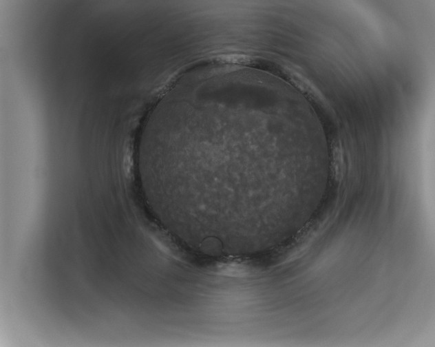 X0000113080259200908281229