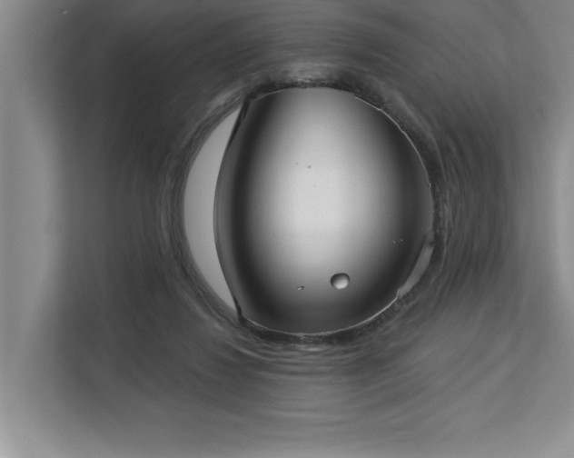 X0000113080260200908281229