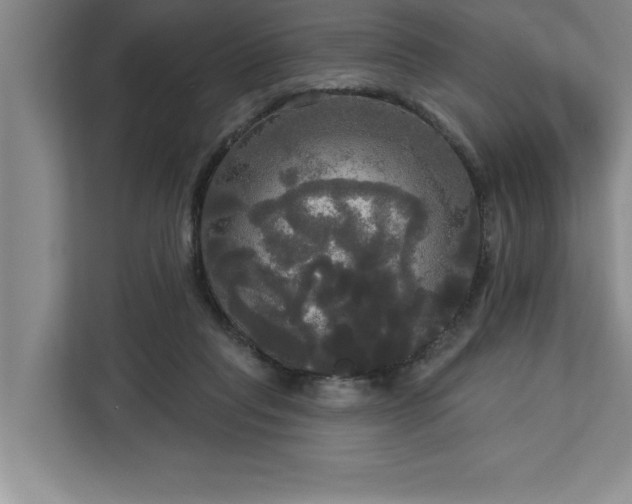 X0000113080261200908281229