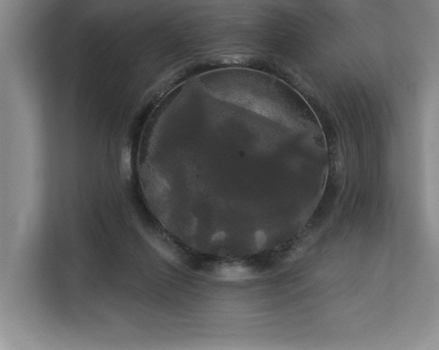 X0000113080262200908281229