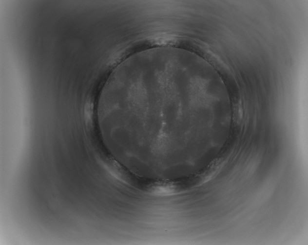 X0000113080263200908281229