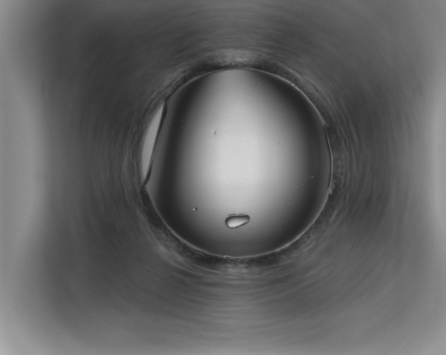 X0000113080264200908281229