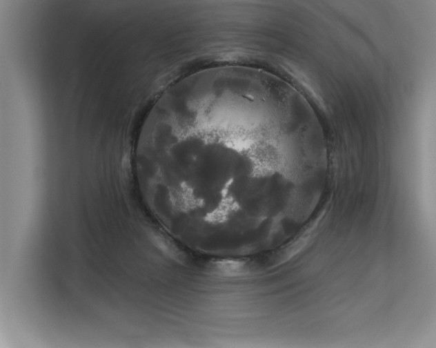 X0000113080265200908281229