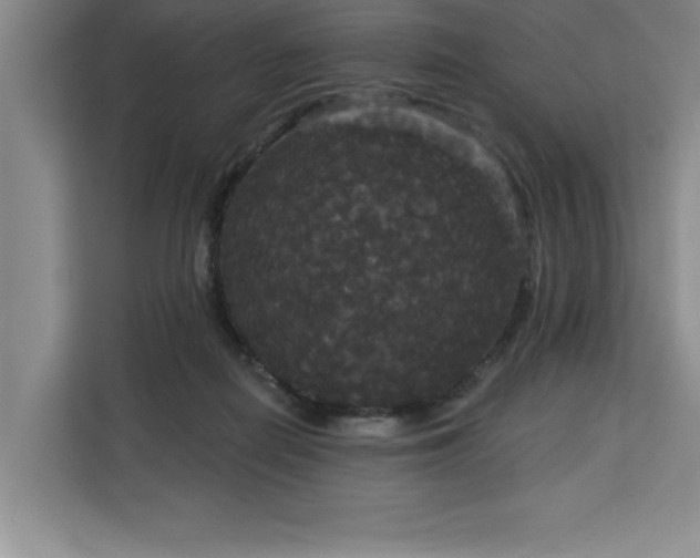 X0000113080266200908281229