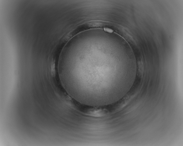 X0000113080267200908281229