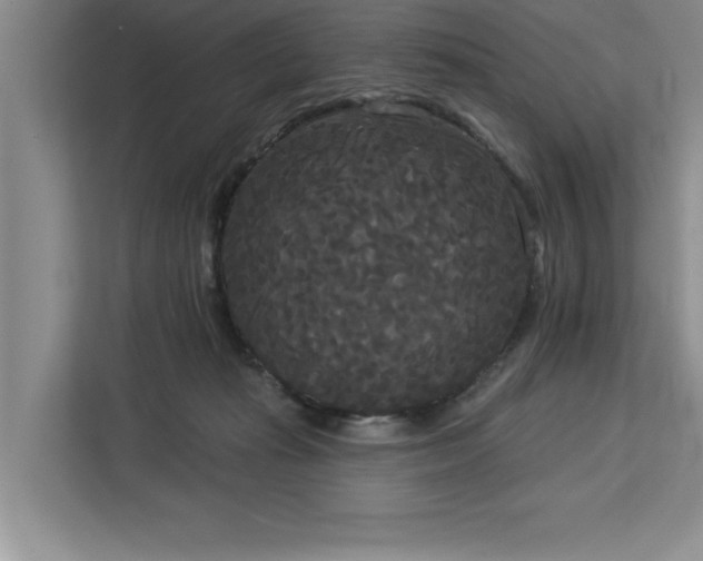 X0000113080269200908281229