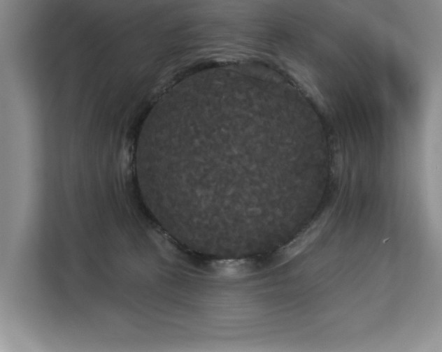 X0000113080273200908281229