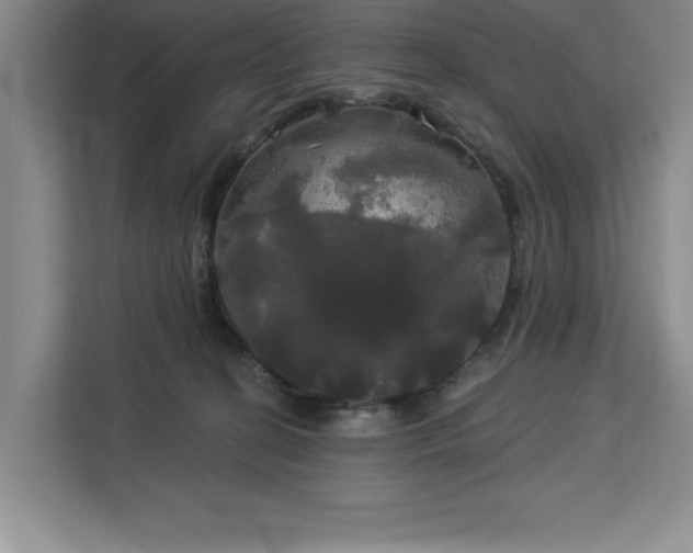 X0000113080274200908281229