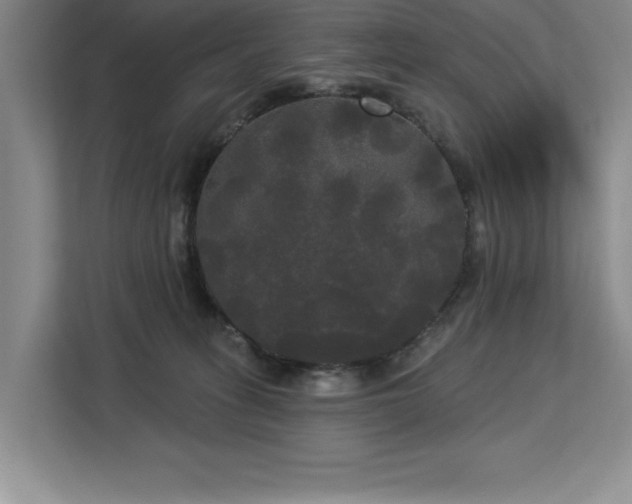 X0000113080275200908281229