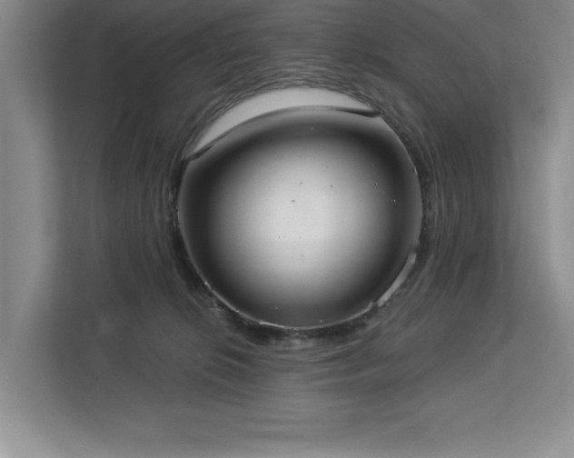 X0000113080276200908281229