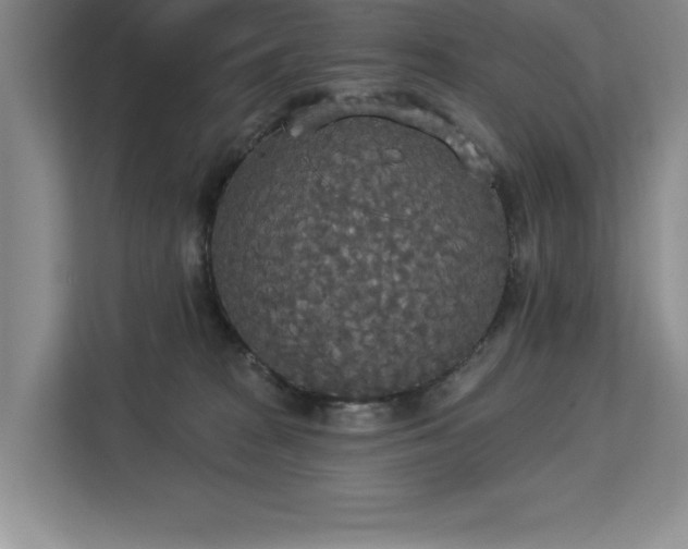 X0000113080277200908281229