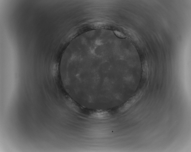 X0000113080278200908281229