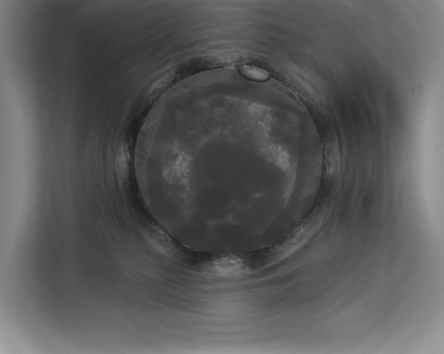 X0000113080279200908281229