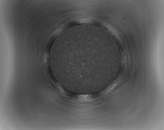 X0000113080281200908281229