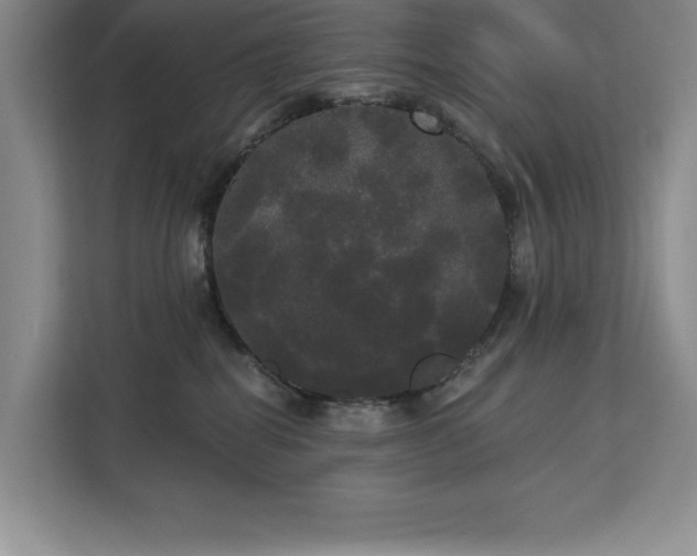 X0000113080282200908281229