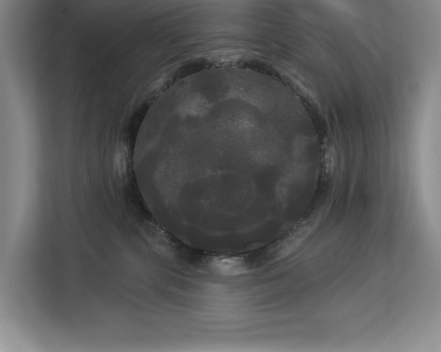 X0000113080283200908281229