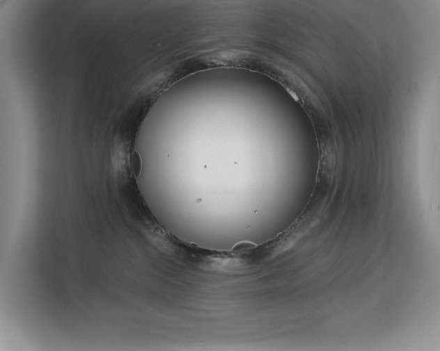 X0000113080284200908281229