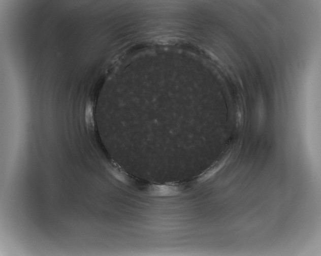 X0000113080286200908281229