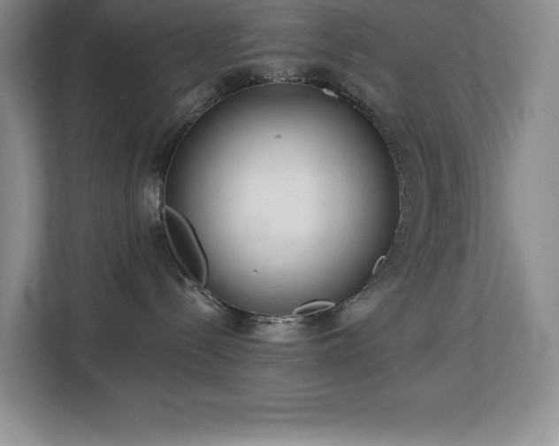 X0000113080288200908281229