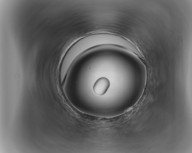 X0000113080289200908281229