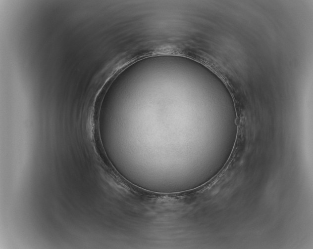 X0000113080290200908281229