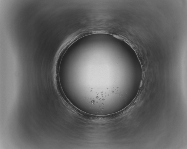 X0000113080293200908281228