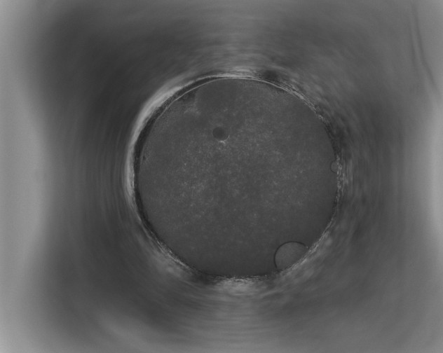 X0000113080294200908281228