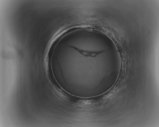 X0000113080295200908281228