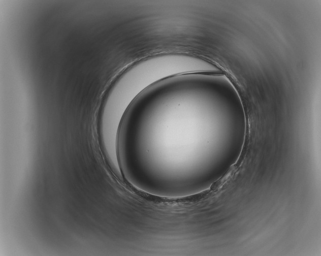 X0000113080297200908281228