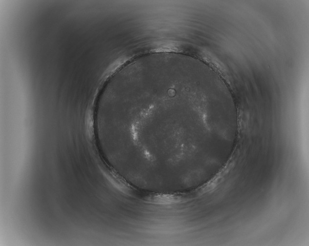 X0000113080298200908281228