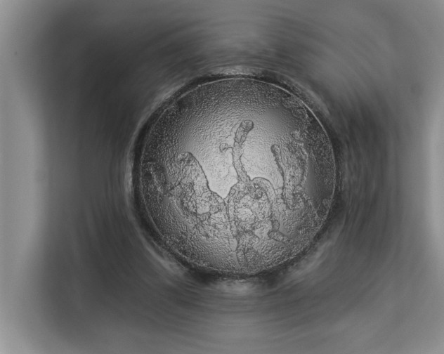 X0000113080299200908281228