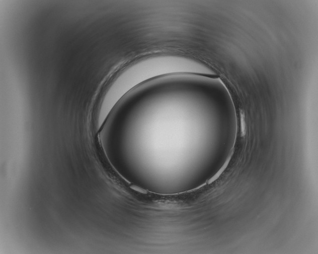 X0000113080300200908281228