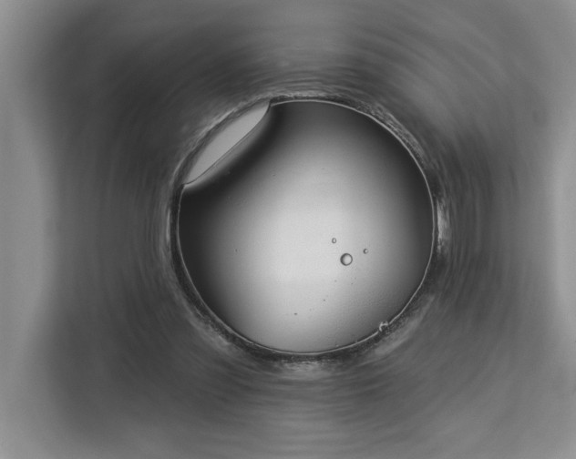 X0000113080301200908281228