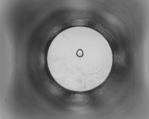 X0000113080302200908281228