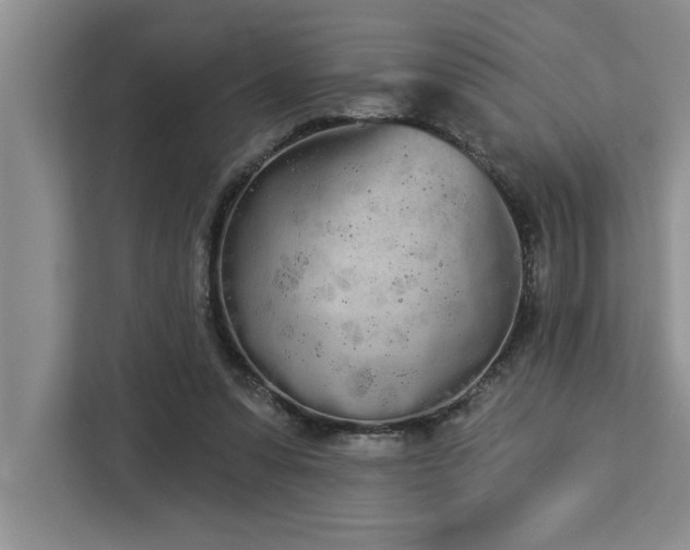 X0000113080303200908281228