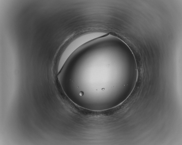 X0000113080304200908281228