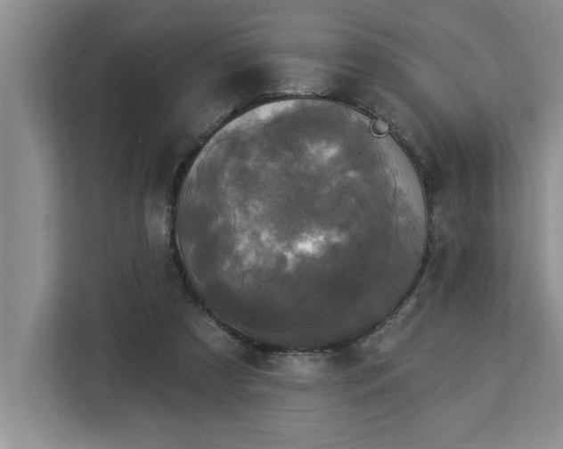 X0000113080305200908281228