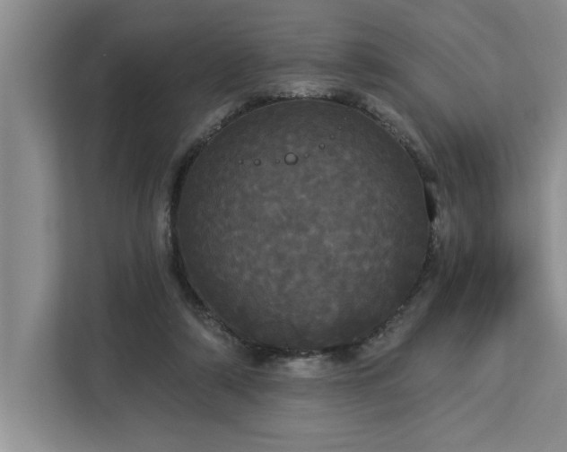 X0000113080306200908281228