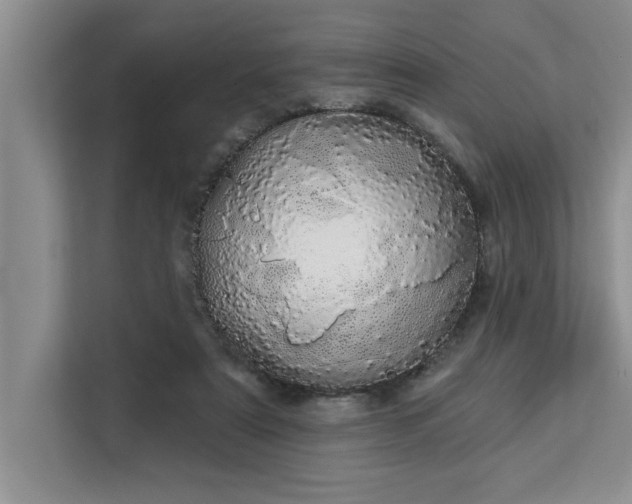 X0000113080307200908281228