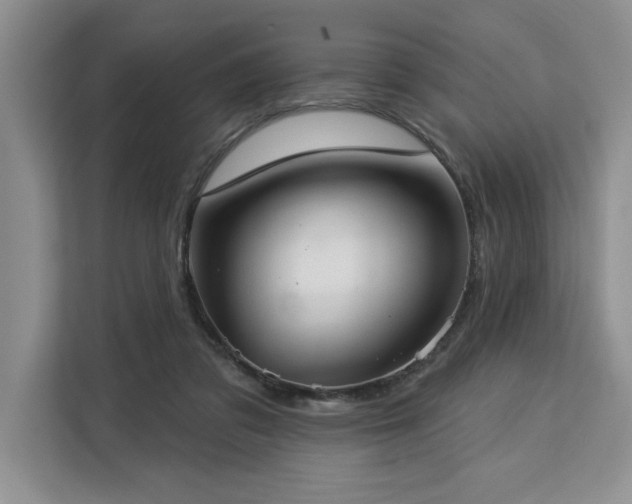 X0000113080309200908281228